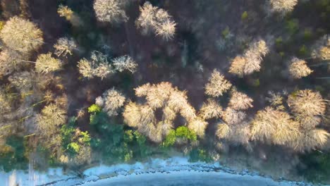 Aerial-view-of-Høve-Skov,-Odsherred-with-the-beautiful-coastline-of-Sejerøbugten,-Zealand,-Denmark