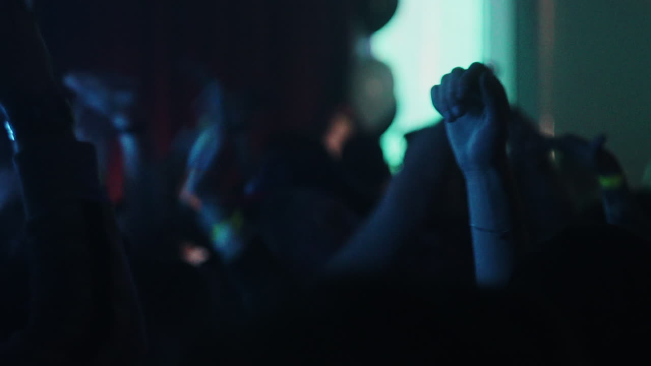 multitud en un concierto