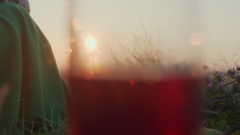close up of woman hand gently returning ripe plum to top of fruit stack on picnic blanket, with glazed pastry, pear, and wildflowers in background