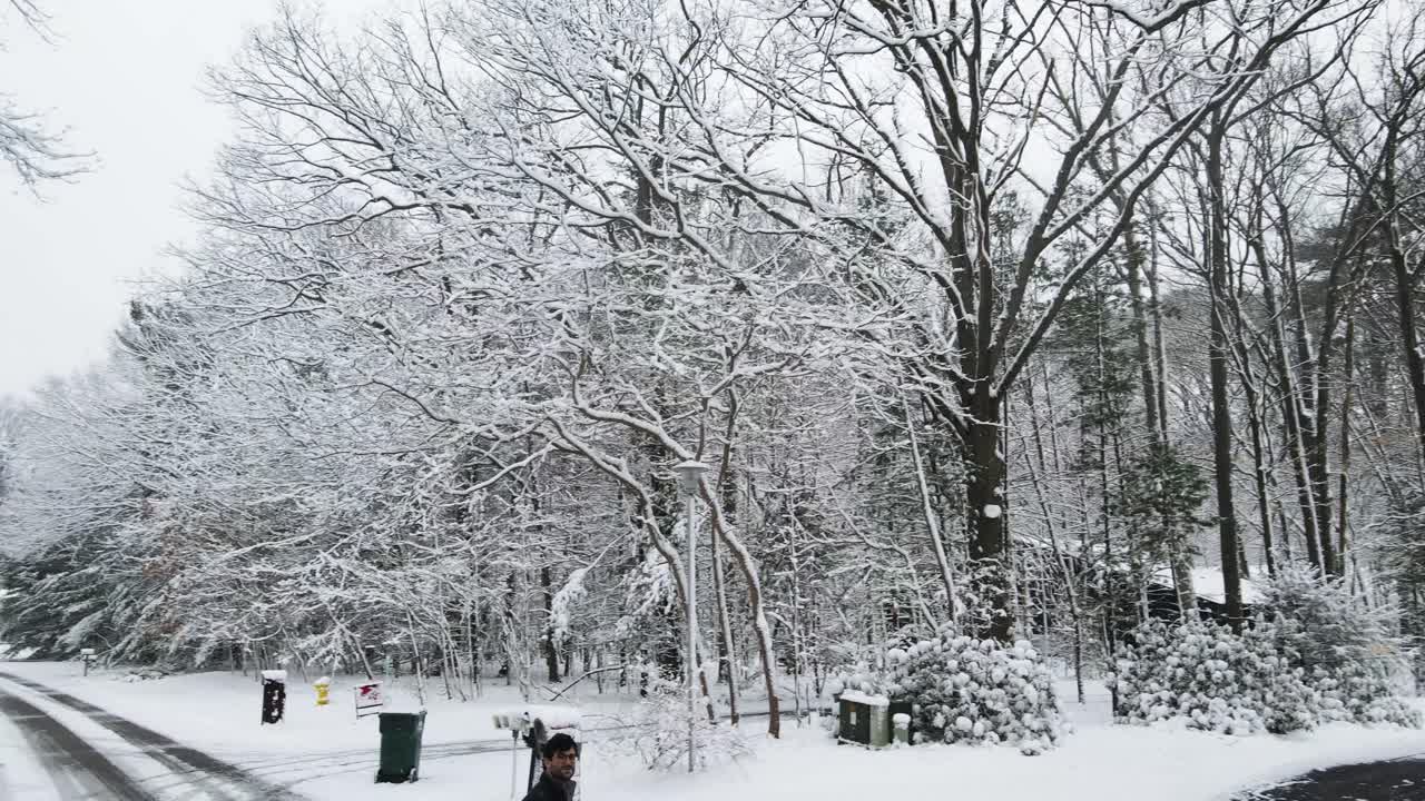 나무에서 스트리트 뷰로 전환
