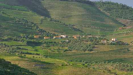 Majestuoso-Valle-Del-Duero-Vistas-Paisaje-Verde-En-Portugal