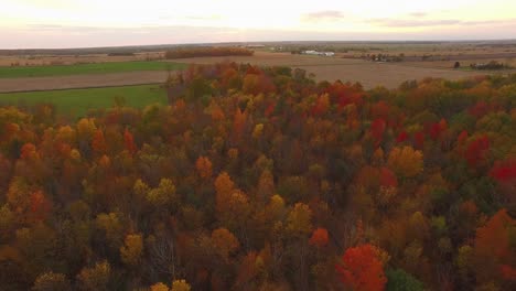 beautiful fall foliage aerial scene flying over colorful hardwoods full of autumn colors