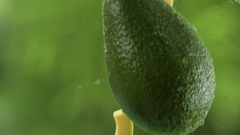 aguacate con rebanadas y salpicaduras cayendo en el fondo del jardín