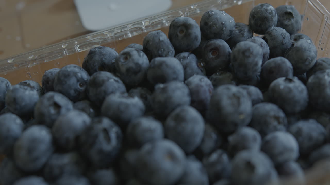 컨테이너에 있는 신선한 블루베리의 오른쪽 팬을 닫습니다.