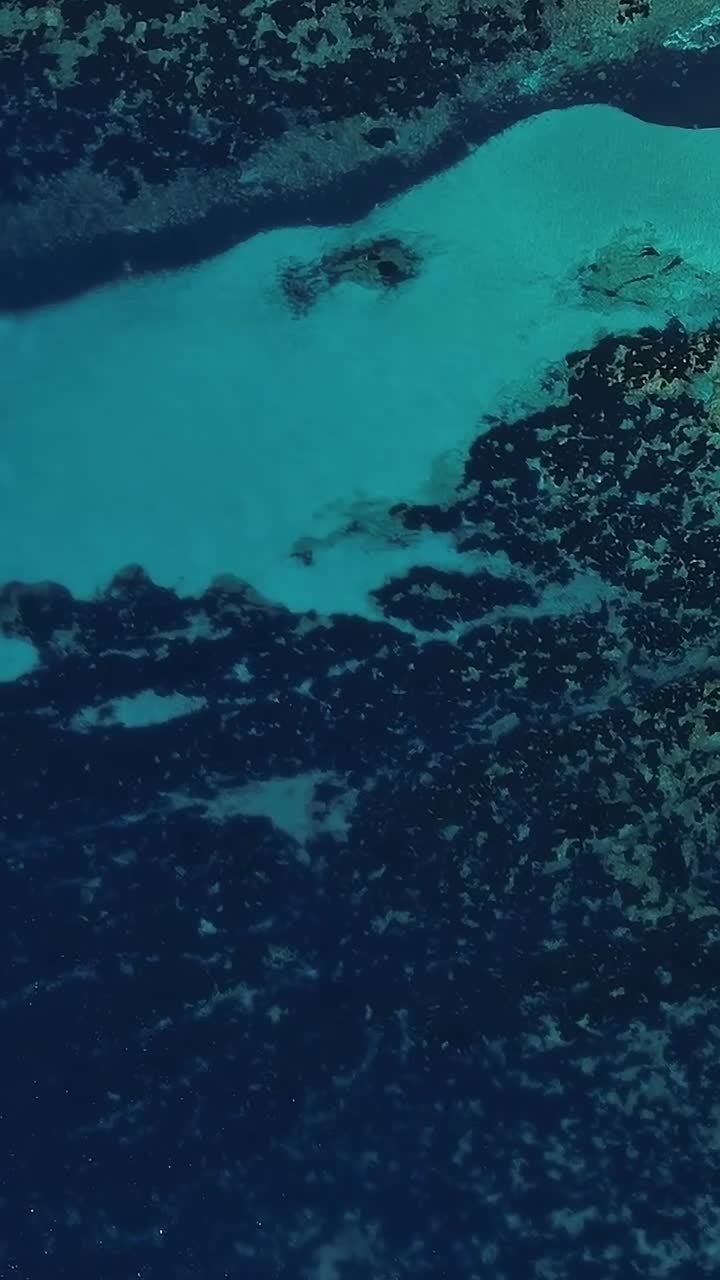 Clear waters of Corsica reveal underwater life near the coastline