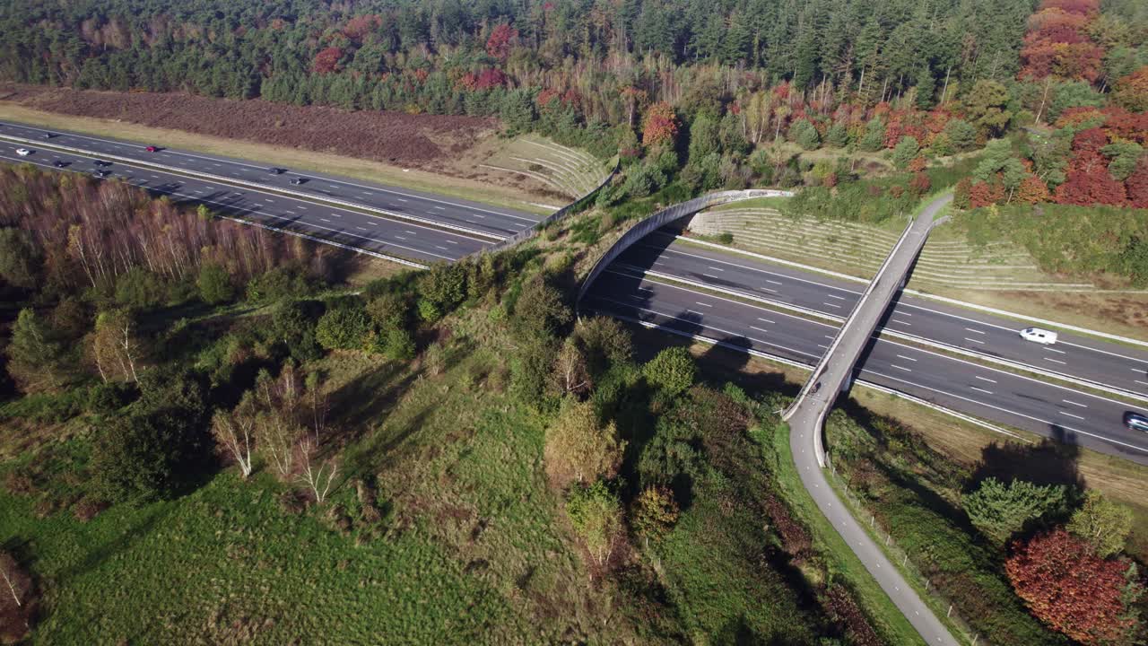 Commuting artery A1 highway through Dutch natural heart with forest wildlife crossing De Borkeld forming a safe natural corridor bridge for animals to migrate between conservancy areas.