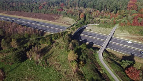 commuting artery a1 highway through dutch natural heart with forest wildlife crossing de borkeld forming a safe natural corridor bridge for animals to migrate between conservancy areas.