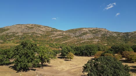 Waldgebiet-Mit-Berglandschaft-Im-Hintergrund