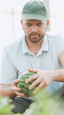 farmer examining watermelon in greenhouse