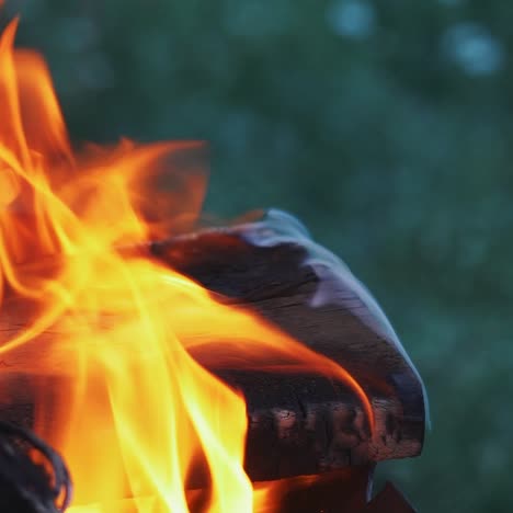 wooden planks to the fire. bonfire. close up.