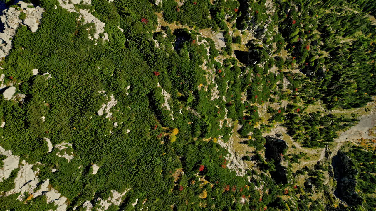 vista aérea del valle del nido de águila, la luz del sol del mediodía golpeó la pared de la montaña cubierta de pinos