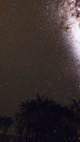 starry night desert landscape