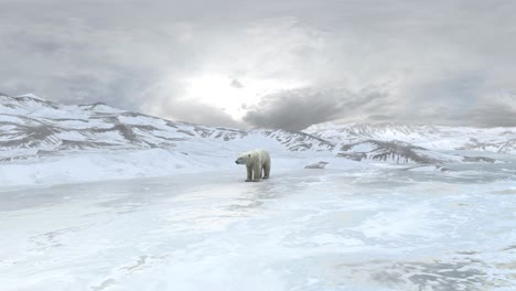 polar bear in arctic landscape