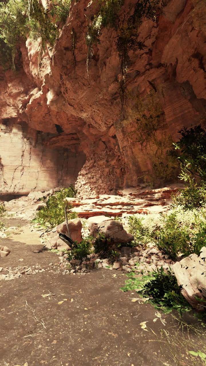 un cañón con una cueva en la roca