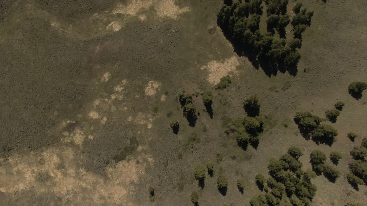 imágenes de drones de 4.000 montañas, bosques y áreas secas de salvia de arriba hacia abajo