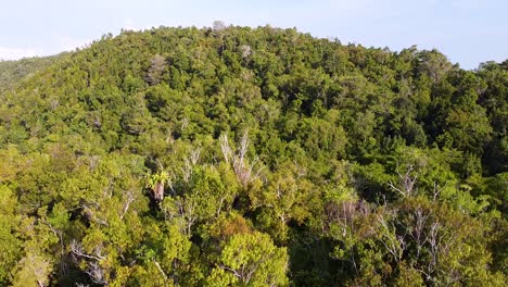 Aerial-landscape-view-rising-above-tall-rainforest-trees-on-remote-tropical-island-in-Raja-Ampat,-West-Papua,-Indonesia