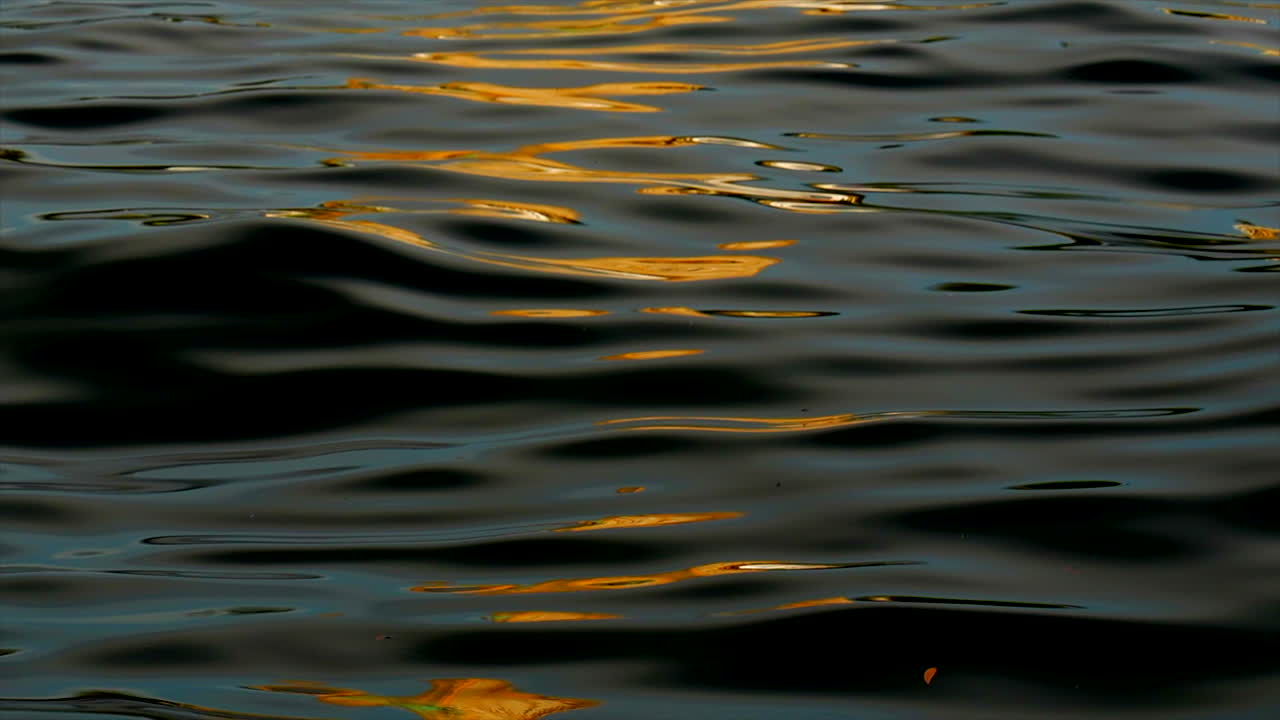 An orange light reflects off the smooth rippling dark water