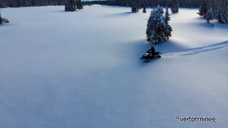 snowmobiling in a snowy forest landscape
