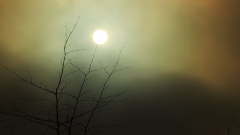 sol en el cielo dramático video marrón 4k