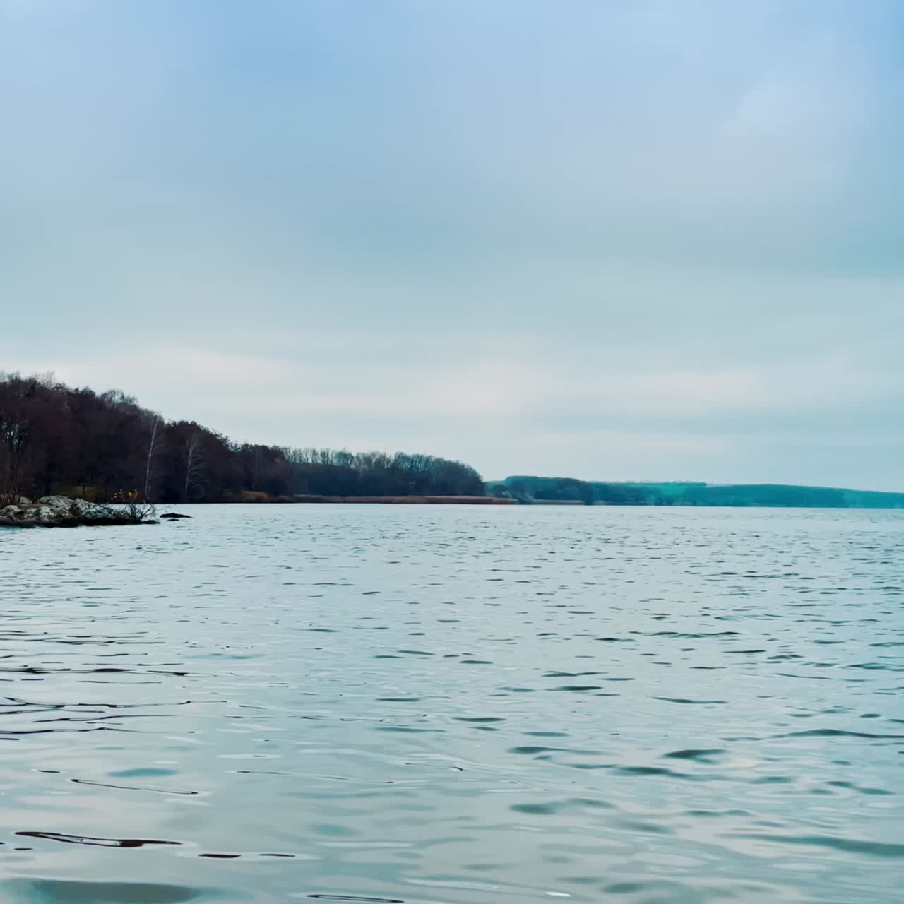Rugged surface of the river in autumn season. Dry reed waving in the wind at the bank. Bare trees at the distant waterfront. Dull day backdrop