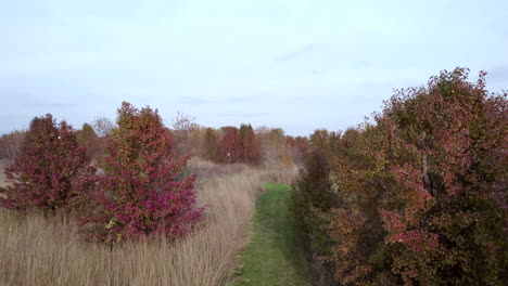 moving through prairie forest in autumn, drone view