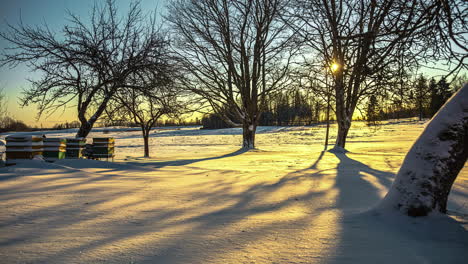 timelapse of beehives in a snow covered field during a winters sunset