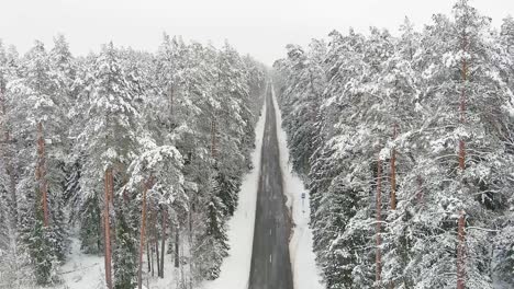 Bosque-Cubierto-De-Nieve-Y-Carretera-Interminable,-Vista-Aérea-De-Drones