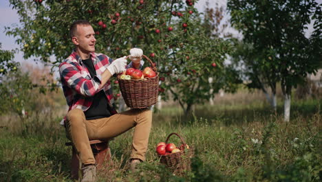 Happy mid aged farmer sitting in the apple orchard is satisfied with crop of fruit. Harvesting season on beautiful sunny day in the green garden.
