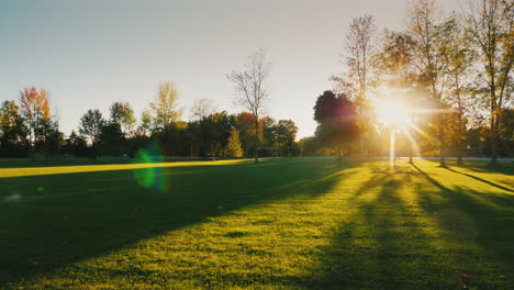 Die-Sonnenstrahlen-Scheinen-Durch-Die-Zweige-Der-Bäume-In-Einem-Wunderschönen-Herbstpark-Mit-Einem-Geräumigen-M