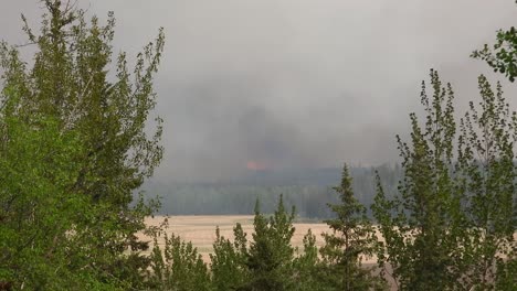 Waldbrände-Wurden-Aus-Der-Ferne-Erfasst-Und-Vernichteten-Den-Wald-In-Alberta,-Kanada