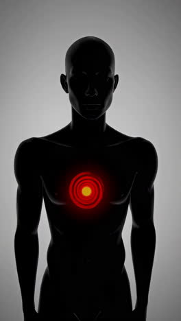 anatomy of the human chest with highlighted heart area