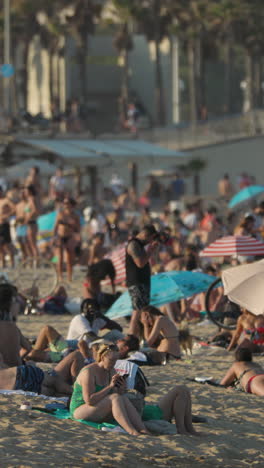 busy beach in sumer in vertical barcelona.