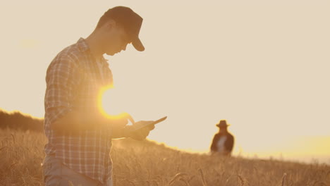 two farmers a man and a woman are looking forward to the sunset over a field of wheat. teamwork in agribusiness