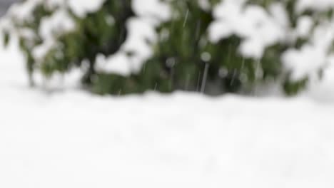 Blur-macro-shot-of-strong-snowfall-in-winter-and-snow-covered-trees-in-background