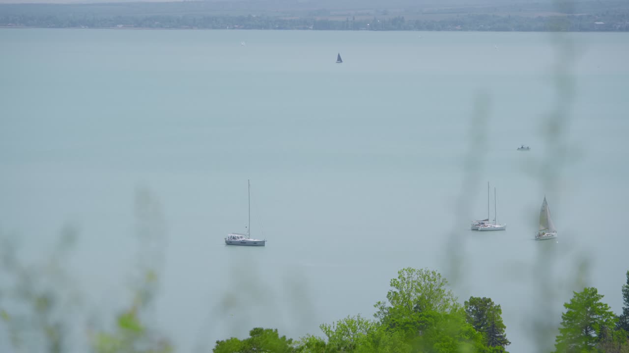 Catamaran Boats Over Freshwater Lake Balaton In Tihany, Hungary. Aerial Shot