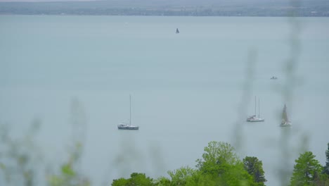 catamaran boats over freshwater lake balaton in tihany, hungary. aerial shot