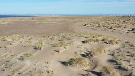 vuelo aéreo sobre una gran playa de arena en camargue espiguette francia vegetación