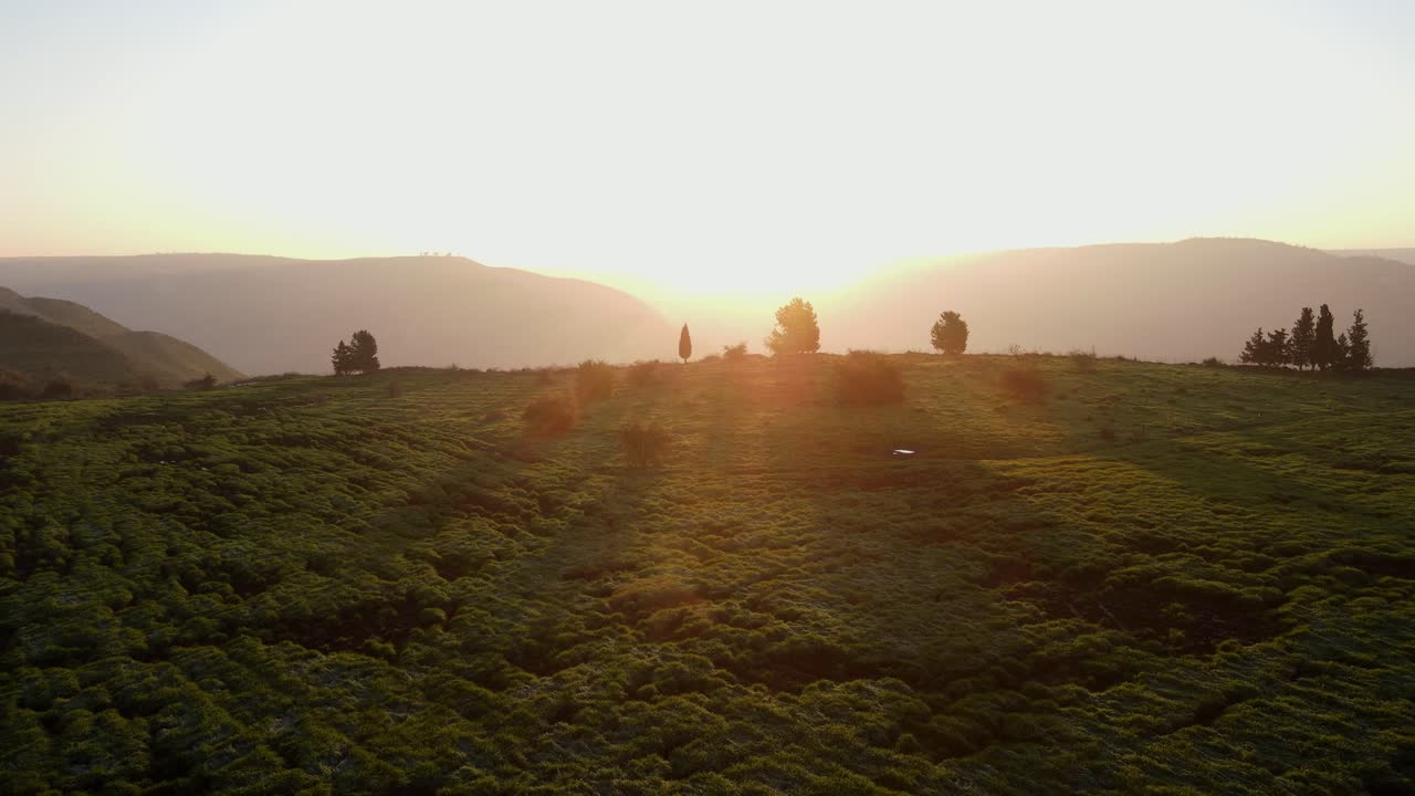 이스라엘 석양에 황금빛 태양이 빛나는 언덕 위로 뒤로 당기는 무인 항공기 보기
