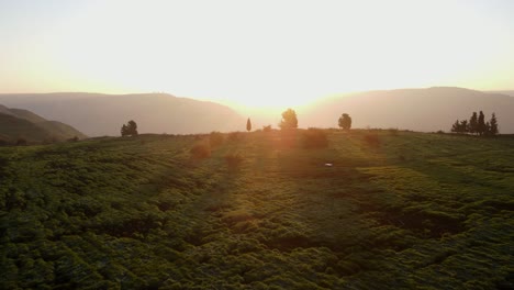 drone view pulling back over hill with golden sun shining at sunset, israel