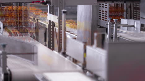 time lapse of machinery moving egg cartons inside a poultry farming facility