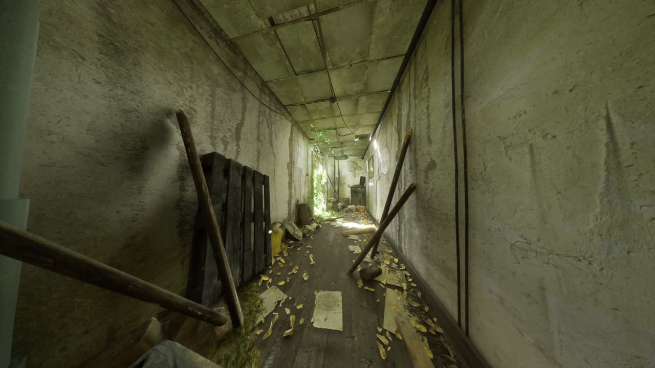 Forgotten corridor in an abandoned building overgrown with greenery