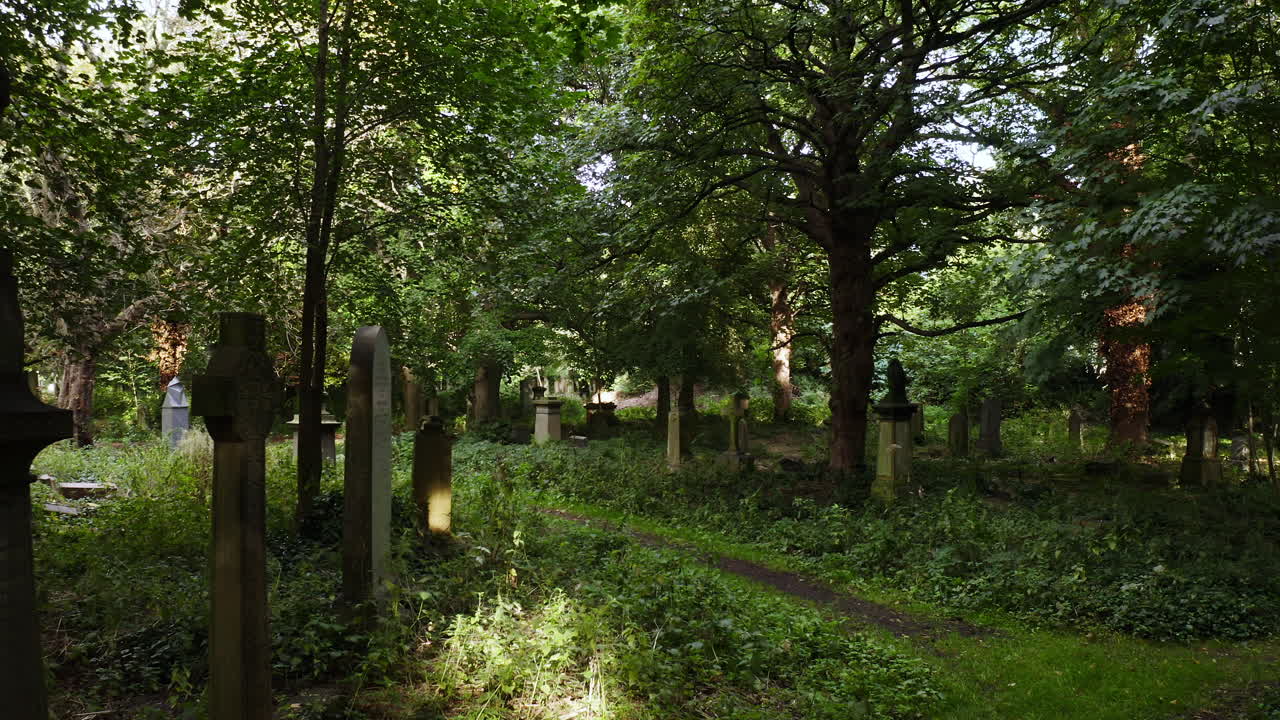 아름다운 오래된 비석과 얼룩덜룩한 햇빛이 있는 잊혀진 무성한 묘지를 천천히 기어가는 드론 샷