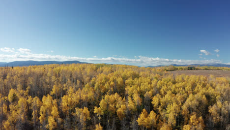 northern colorado drone footage of fall colors in the mountains