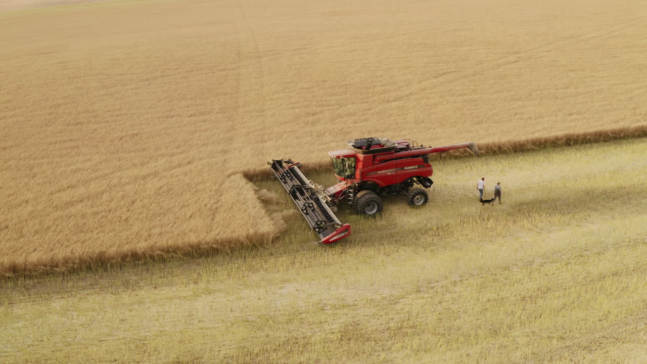 Farmers walking away from combine harvester in cut grain field, aerial