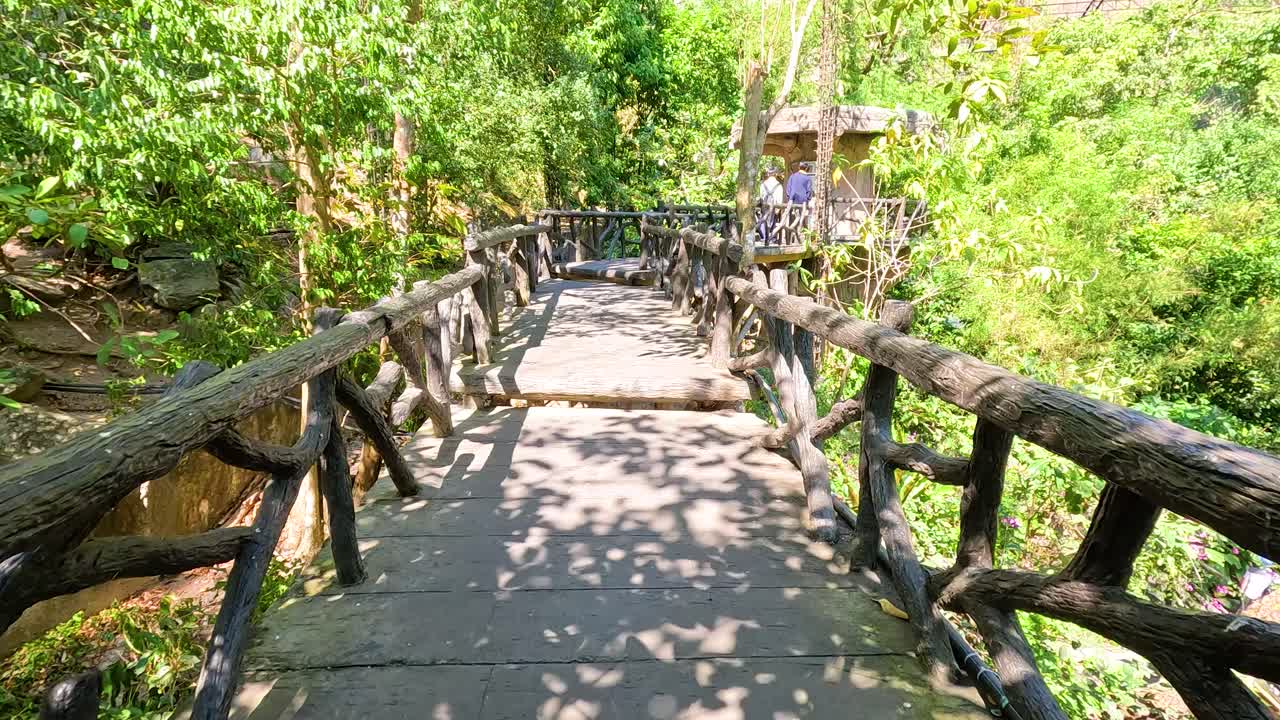 동물원 의 울창 한 초록색 을 가로질러 나무 로 만든 길