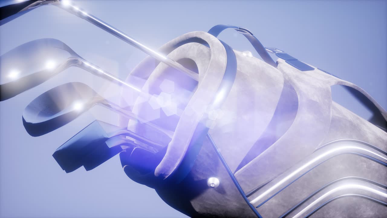 골프 가방 에 있는 골프 푸터