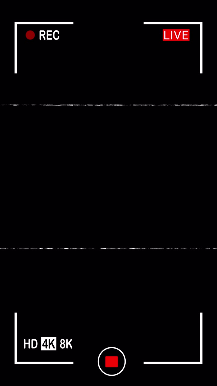 Digital Camera Recording Overlay with Glitch and Static Effects