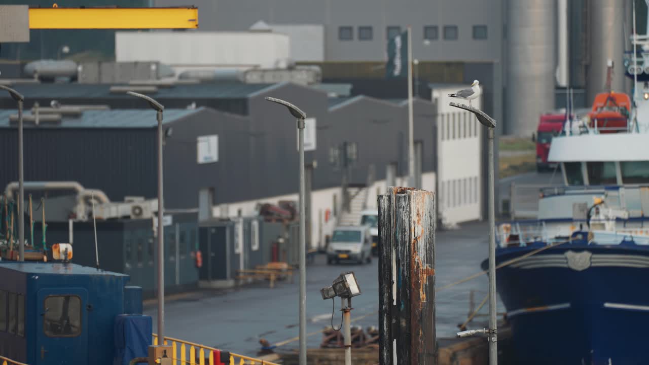 hirtshals 항구 - 창고 근처에 정박한 선박