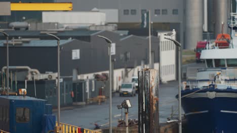 the port of hirtshals - ships docked near he warehouses