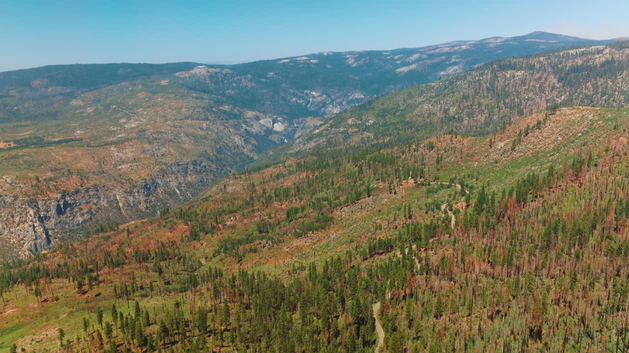 vista aérea de un valle de montaña y un bosque